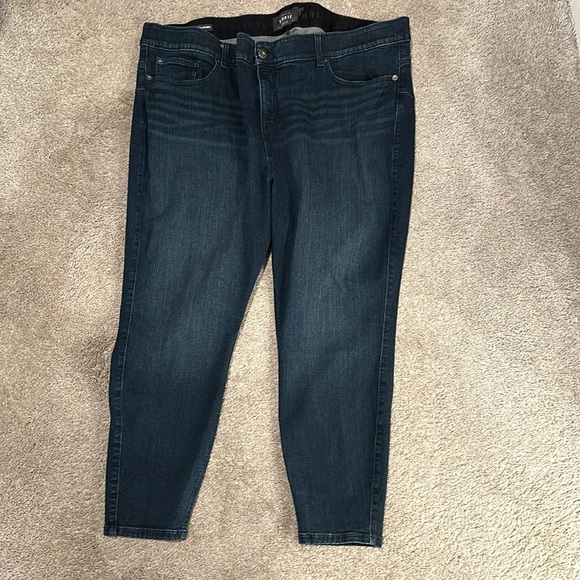 torrid Denim - Torrid 28S Plus Jeans, Bombshell Skinny